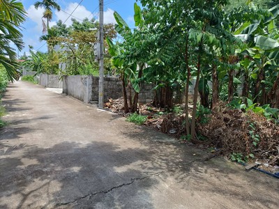 Bán mảnh đất 539 m2 tại Tân Phong, Kiến Thụy, Hải Phòng 0