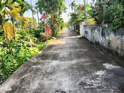 Bán mảnh đất 539 m2 tại Tân Phong, Kiến Thụy, Hải Phòng 2