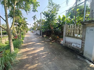 Bán mảnh đất 539 m2 tại Tân Phong, Kiến Thụy, Hải Phòng 3