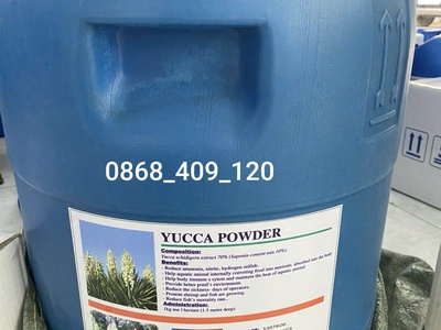 Yucca bột - Mỹ 0