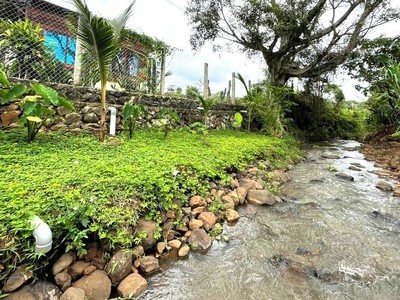 Bán gấp 2mt  35x35 1225m2  full shr thổ cư, gần công nghiệp, trường, chợ, trung tâm đường lớn 4