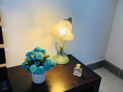 Cho thuê phòng trọ khép kín 25m2 tạ quang bửu, phường bách khoa, hai bà trưng, hà nội 2