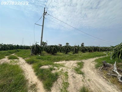 Bán gấp 145m x 84m đất ont lô 2 lý thái tổ - tân tiến - tx lagi gần biển chỉ 1.5tr/m2 3