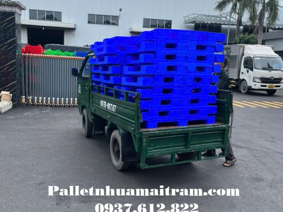 Cung cấp nhiều chọn lựa về pallet nhựa tại Thuận An đa dạng 6