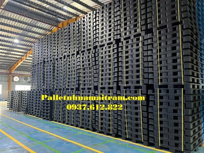 Cung cấp nhiều chọn lựa về pallet nhựa tại Thuận An đa dạng 7