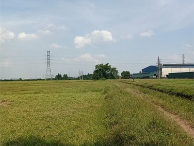 Bán 2,3ha đất kho nhà xưởng 50 năm tại tân hưng, tp hưng yên 1