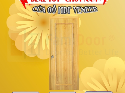 Cửa gỗ công nghiệp HDF veneer 1