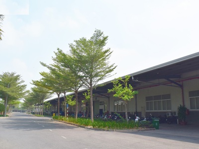 Cho thuê kho, nhà xưởng đa diện tích - GIÁ ƯU ĐÃI ĐẦU NĂM 2025 4