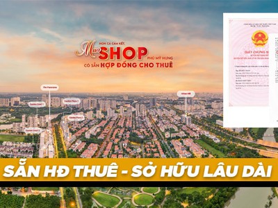 Lịch thanh toán shophouse phú mỹ hưng 2025 1