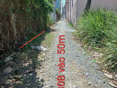 Bán đất thổ cư 248m đường dt830, long định, cần đước, long an - 1.5 tỷ 0