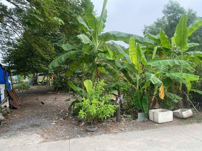 Bán nhanh lô đất 2000m2, góc 2 mặt đường xe hơi , xã bình chánh, huyện bình chánh 1