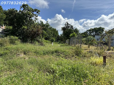 Bán gấp 6m x 60m mặt tiền trưng nhị - tân an - tx lagi đại hạ giá chỉ còn 1.55 tỷ 3