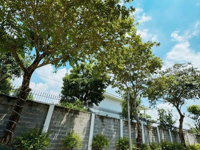 Bán gấp siêu biệt thự 900m2 nghỉ dưỡng mặt tiền 36m, bùi công trừng, hóc môn nhỉnh 20tr/m2 4