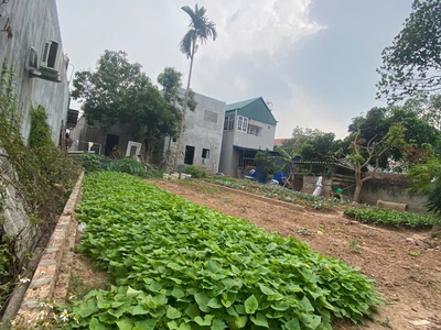 Đẹp nhất hiền ninh, sóc sơn. 80m2 full thổ cư. mặt tiền 5,5m. giá chỉ 2,16 tỷ có thương lượng 0