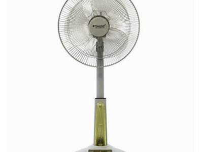 Mua Quạt Cây Chính Hãng Tại Hà Nội 0