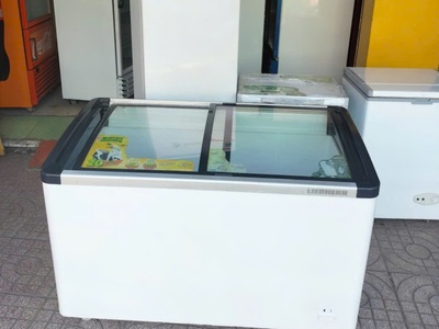 Tủ đông mặt kính cong liebherr dung tích 400 lít 0