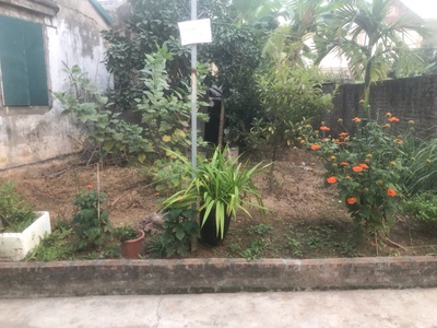 Bán đất sổ đỏ Đông dư 56m2 2.9tỷ. 0