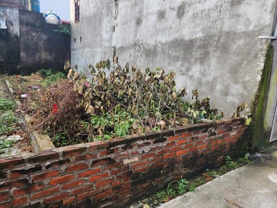Chính chủ gửi bán lô đất ngõ xe tải đối diện khu đô thị kỳ đồng 108m2 560tr 0