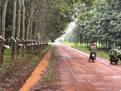 Bán đất chính chủ tại Bắc Tân Uyên - Bình Dương 1