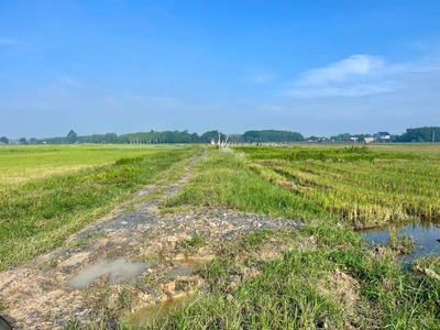 500m2☘bán đất an nhơn tây, hẻm xe hơi, củ chi, giá chỉ 600 triệu 0