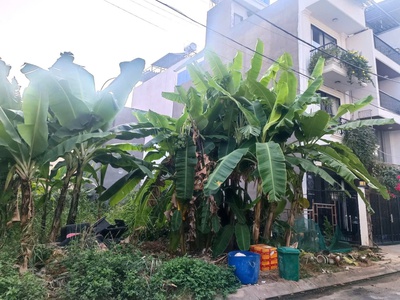 Bán đất quận 9, đất p lô, bưng ông thoàn, dt 60m2, khu xây dựng 3 lầu, chỉ 4ty hơn. 0