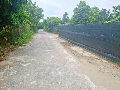Bán đất khai hoang làm khu nghỉ dưỡng bãi sông hồng hoặc cho thuê đất để kinh doanh 4