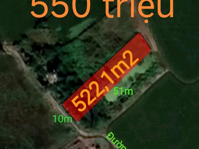Bán gấp lô đất cây lâu năm giá 550 triệu 0