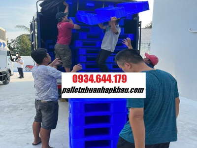 Chứng từ xuất khẩu pallet nhựa An Giang mới nhất năm 2025 1