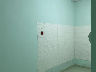 Cần cho thuê nhà nguyên căn gần cầu Rồng 1