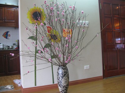 Tập thể tầng 6 Lương Đình Của, Phương Mai, Đống Đa 0