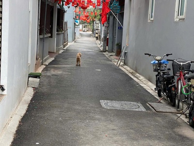 Bán đất sẵn nhà cho thuê thu nhập sẵn 35tr/tháng đường ngô xuân quảng 1