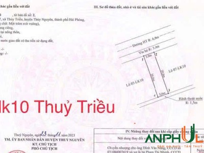 Cần bán cặp anh em song sinh tại đấu giá phường Thủy Hà   xã Thủy Triều , Thủy Nguyên 1