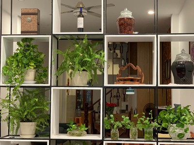 Cho Thuê Nhà Nguyên Căn 1 trệt 2 lầu, sân thượng - Mở VP kết hợp ở 1