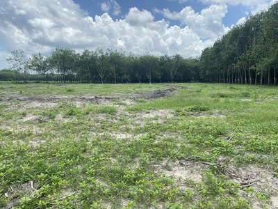 Bán 5 lô đất vị trí đẹp ấp thạnh phú, xã tân hiệp mới, huyện tân châu, tỉnh tây ninh. 1