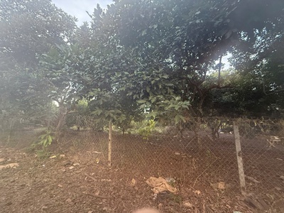 Cần bán gấp đất công nghiệp 1761,2m2 huyện thống nhất, đồng nai 4