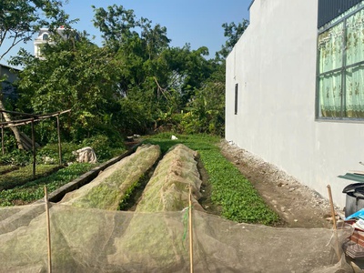 Chính chủ cần bán lô đất đẹp - giá tốt - vị trí đắc địa tại xâm xuyên, thường tín, tphn 0