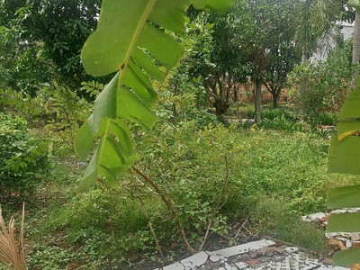 Bán đất mặt tiền view sông sài gòn - khu phân lô an phú đông - 105m2  5.4x19  - đất trống full thổ 1