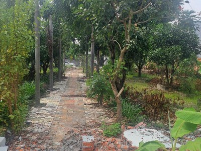 Bán đất mặt tiền view sông sài gòn - khu phân lô an phú đông - 105m2  5.4x19  - đất trống full thổ 2