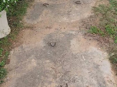 Huyệt đơn khu phú quý dự án phúc an viên quận 9 tp hcm 2