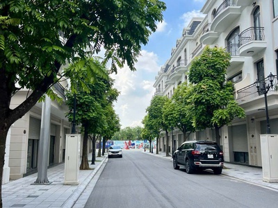 Siêu phẩm Shophouse Sao Biển giá TỐT nhất Vinhomes Ocean Park 2 0