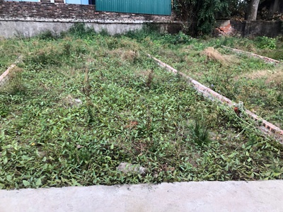 Bán đất nền sổ đỏ   42.8m2 Giá: 1.85tỷ -Xã Chương Dương, Thường Tín  bán 2 lô gần nhau . 0