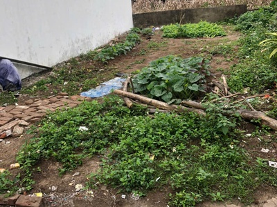 Bán đất nền sổ đỏ 61m2 Giá 2.65tỷ Xã Chương Dương, Thường Tín. 0