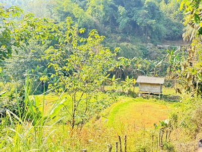 Siêu phẩm chữa lành yêu ngay từ cái nhìn đầu tiên tại xóm vầy ang xã vầy nưa đà bắc hoà bình 2