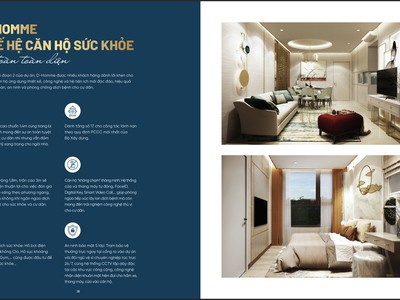 Căn 2pn 70m2  giá  4.5 tỷ  bao hết  d-homme hồng bàng,  q6 3