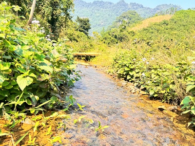 Siêu phẩm chữa lành yêu ngay từ cái nhìn đầu tiên tại xóm vầy ang xã vầy nưa đà bắc hoà bình 4