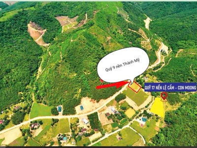 Bán Đất Chính Chủ 242.8m2 thôn Cẩm Lệ 2, xã Thành Mỹ, huyện Thạch Thành, tỉnh Thanh Hóa 1