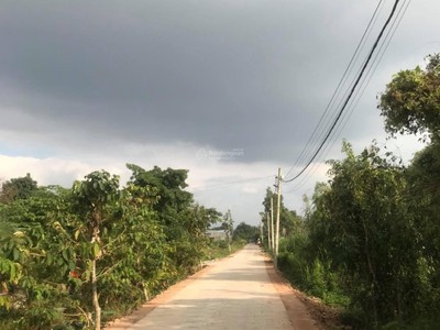 Bán đất an hạ, xã phạm văn hai, bình chánh 50m2, giá tt 450tr 1