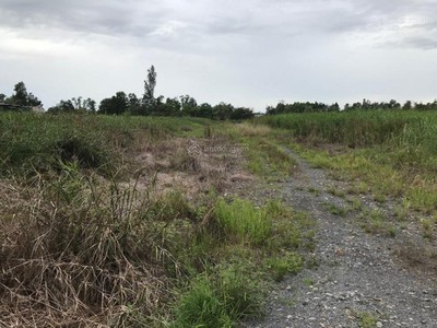 Bán đất an hạ, xã phạm văn hai, bình chánh 50m2, giá tt 450tr 2