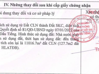 Bán 2,6 héc ta đất sản xuất kinh doanh ở Dầu Tiếng, Bình Dương 1