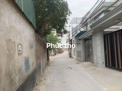 Đất chính chủ em -bán gấp -vị trí đẹp thôn phúc thọ, mai lâm, đông anh 0